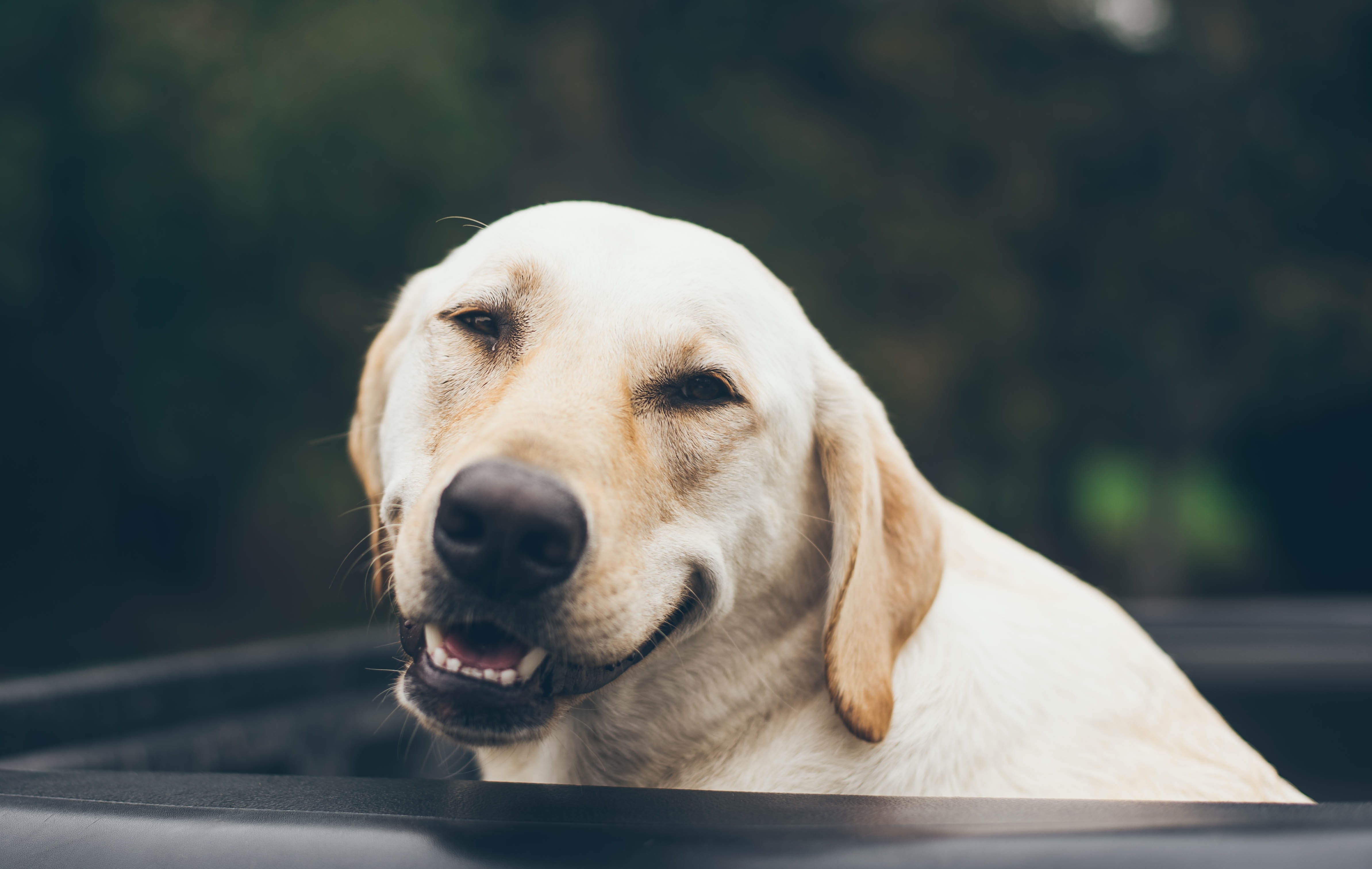 5 Ways to Feel Great TODAY!
