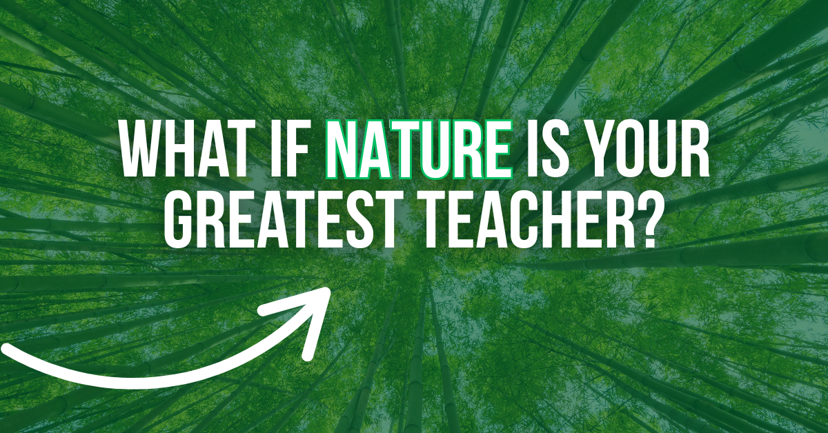 Implement these lessons from nature into your life today 🌳